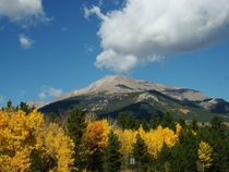 I love autumn in Colorado  x