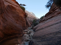 I love the colors in Zion National Park Utah USA OC 
