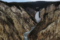 I miss Yellowstone on a daily basis 