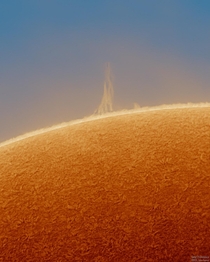 I photographed this tower of plasma on the Sun last week It stands taller than four Earth-diameters  roughly the size of Uranus 