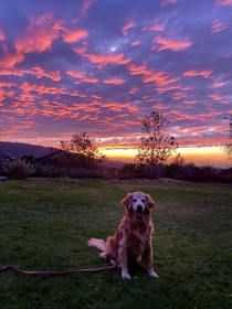 I posted this picture earlier tonight on Dog Pictures but I think it is worth reposting in SkyPorn As the first serious storm of the season moved into Los Angeles the sky went crazy today