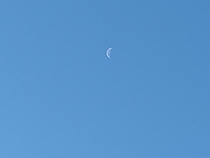 I see the Moon every morning when walking to HS
