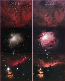 I started astrophotography one year ago this is my progress Top to bottom - Elephant Trunk Orion and Horsehead Nebula