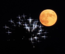 I too captured fireworks and the moon