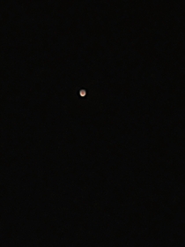 I took a picture of Mars from my balcony in Debrecen Hungary