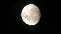 I took a picture of the Moon with my phone through an  telescope