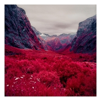 I took Infrared Film to Milford Valley New Zealand 