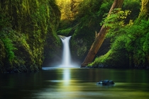 I took this shot of Punch Bowl Falls in Oregon last Spring It is a lush green paradise on earth By Victor Carreiro 