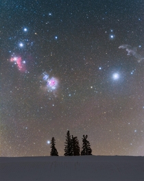 I zoomed in on Orion as it rose above this small group of trees in Saskatchewan 