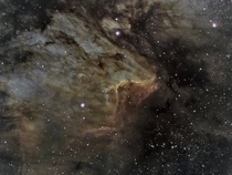 IC  in the Pelican Nebula 