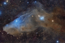 IC  The Blue Horsehead Reflection Nebula