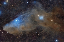 IC  The Blue Horsehead Reflection Nebula Image Credit amp Copyright Mario Cogo 