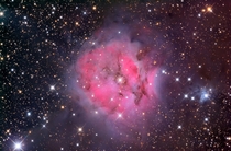 IC  The Cocoon Nebula 