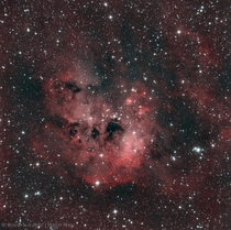 IC  - The Tadpoles Nebula 
