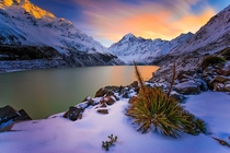 Ice Cold Hooker Lake Aoraki New Zealand 