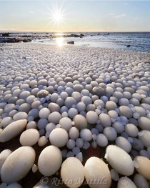 Ice Eggs - This rare phenomenon occurs when ice is rolled over by wind and water Northern Finland
