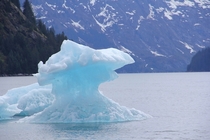 Iceberg in Tacy Arm Fjord Alaska 
