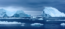 Icebergs of Greenland 