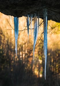 Icicles in northern Bavaria in Germany   Insta glacionaut