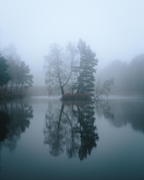Id been waiting for foggy conditions at this small island for a long time Recently I was granted my wish - Cannock Chase Staffordshire UK 