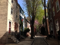 Idyllic Cobblestone Streets of Philadelphia 