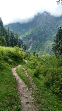 Im not the best photographer but Ive had the opportunity to visit some of the most beautiful parts of India Would love to share more from these mountains Anyway heres my path to enlightenment Himachal Pradesh India  OC