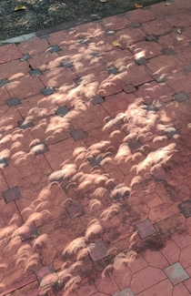 Images of sun formed on ground during todays Solar Eclipse in Kerala India