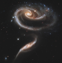 Impress your lover on Valentines Day with this romantic rose made out of galaxies 