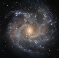 Impressive view of NGC  a spiral galaxy about  light-years across In the last  years we have seen  stars explode as supernova in this galaxy In normal spiral galaxies like our own we witness maybe  every  years so NGC  is a bit of an oddball ImageESAHubbl