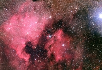 In honour of the fourth The North America Nebula NGC 