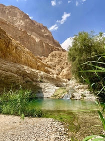 In the middle of the desert Ein Gedi Israel 
