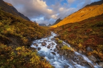 Incredible autumn colors of the Alaskan arctic  maxfosterphotography