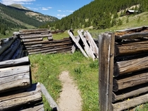 Independence ghost town west of Aspen Colorado USA August  