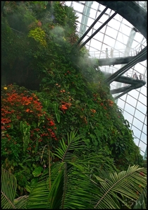 Indoor Plants Conservatory Cloud Forest - Singapore