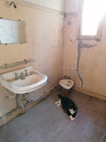 Indy in the abandoned bathroom of an old farm house Sarthe France