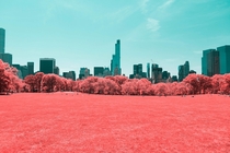 Infrared NYC by Paolo Pettigiani 