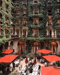 Inner courtyard surrounded by walls of greenery in Plaza Athne a historic Haussmann-style hotel that first opened in  Avenue Montaigne th arrondissement of Paris France