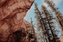 Inside Bryce Canyon 