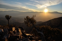Inspiration Peak in Joshua Tree National Park California by Keith Burrows 