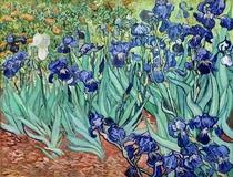 Irises by Vincent Van Gogh at the Getty Center