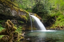 Iron Creek Falls Skamania County Washington 