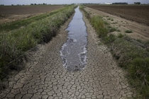 Irrigation water runs along the dried-up ditch between the rice farms in Richvale Calif 