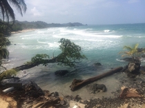 Isla Bastimentos Bocas Del Toro Panama 