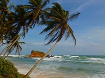 Island Life Southern Sri Lanka 