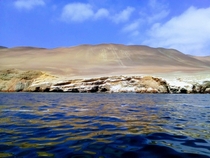 Islas Ballestas Ica Peru 