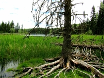 Isobel Lake near Kamloops BC 