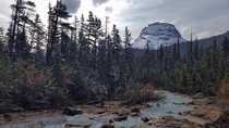 It was a cloudy day in Yoho National Park BC That didnt take away from the beauty of this place 