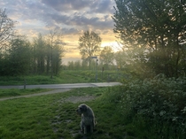 It was another gorgeous sky this evening I love my evening walks with my buddy in the Netherlands