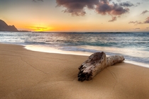 Its log its log Its big its heavy its wood Another angle of my favorite driftwood from Kauai 