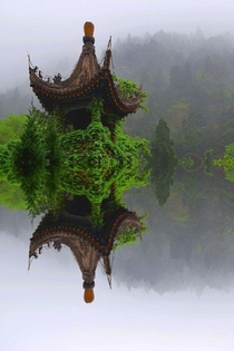 Ivy Temple Xian China